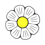Budz | Daisy